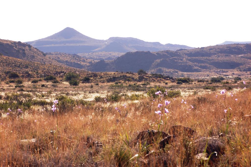 Вилла The Vale Karoo Farm Nelspoort Экстерьер фото